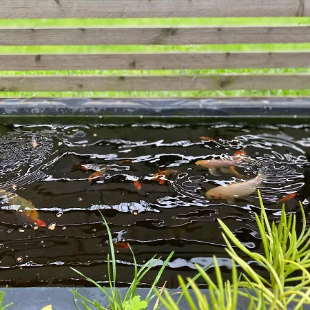 Tropisches Loft Mit Privatem Garten * Магдебург