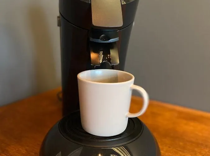 Tropisches Loft Mit Privatem Garten Apartment