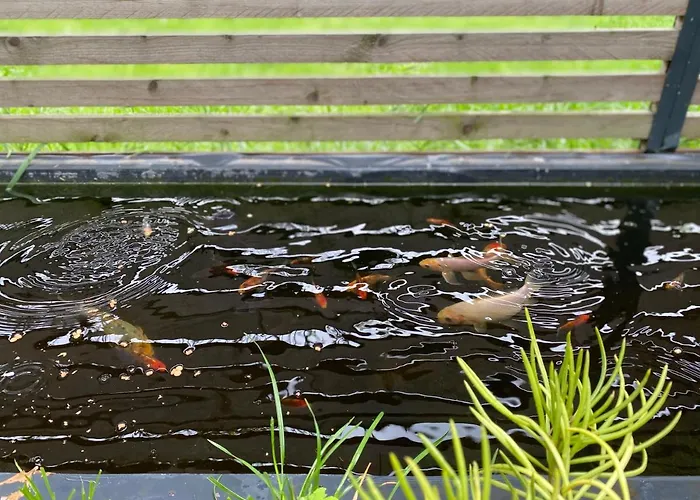 Tropisches Loft Mit Privatem Garten * Magdeburg